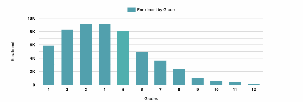 Think Academy-2025 Math Kangaroo Participants by Grades