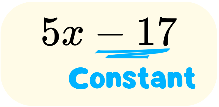 Think Academy - Algebraic Expression-What is a Constant