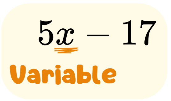 Think Academy - Algebraic Expression-What is a Variable